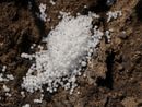 Coldiretti Cuneo: "Bene rinvio divieto urea, ora accelerare sul biodigestato" Coldiretti Cuneo: "Bene rinvio divieto urea, ora accelerare sul biodigestato"