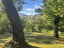 Castanicoltura, Cia Cuneo: "Chiediamo attenzione e aiuti alla Regione per potatura e recupero dei castagneti secolari, come presidio ambientale dei boschi e delle aree interne"