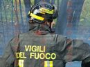 immagine archivio