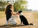 Bra: un percorso formativo per promuovere il benessere dei propri cani Bra: un percorso formativo per promuovere il benessere dei propri cani