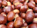 Autunno nel Cuneese tra sapori e misteri: in scena il Re Marrone e le Streghe [VIDEO]
