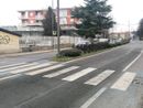 In via Ognissanti i lavori sono iniziati dopo la chiusura delle scuole In via Ognissanti i lavori sono iniziati dopo la chiusura delle scuole