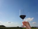 Ad Alba il corso IFTS “Wine Hospitality Manager” Alta Formazione gratuita dedicata al mondo del vino Ad Alba il corso IFTS “Wine Hospitality Manager” Alta Formazione gratuita dedicata al mondo del vino