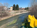 Il fiume Maira a Savigliano