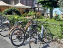 Cercansi bici per i lavoratori stagionali: l'appello di Caritas Saluzzo Migrante Cercansi bici per i lavoratori stagionali: l'appello di Caritas Saluzzo Migrante
