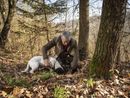 In terza Commissione via libera alle indennità per la conservazione delle tartufaie In terza Commissione via libera alle indennità per la conservazione delle tartufaie