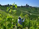 Stagionali in agricoltura: venti Comuni di Langhe e Roero al tavolo "anti caporalato" Stagionali in agricoltura: venti Comuni di Langhe e Roero al tavolo "anti caporalato"
