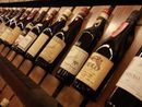 Tra i vigneti di Langa per un Winetour del Barolo Tra i vigneti di Langa per un Winetour del Barolo