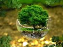 A Farigliano appuntamento con "Cine per la terra - dalla parte del suolo”