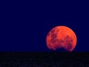 Eclissi totale in Italia, stasera attesa la 'luna rossa' Eclissi totale in Italia, stasera attesa la 'luna rossa'