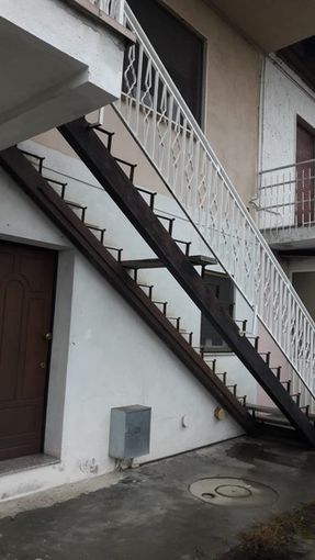 Avevano rubato anche i gradini di una scala a Sommariva del Bosco: sgominata la "banda del buco" (VIDEO) Avevano rubato anche i gradini di una scala a Sommariva del Bosco: sgominata la "banda del buco" (VIDEO)