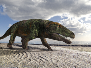 Nell’area delle impronte sono frequenti i “ripple marks” tracce di moto ondoso lasciate circa 250 milioni di anni fa su un fango sabbioso ora diventato roccia - Foto di Enrico Collo