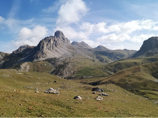 Le orme che hanno consentito la descrizione della nuova icnospecie Isochirotherium gardettensis - Foto di F.M. Petti