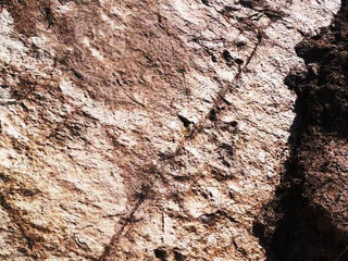 L'Altopiano della Gardetta con al centro la Rocca la Meja - Foto di F.M. Petti