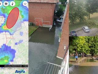 I vigili del fuoco recuperano una cicogna derita