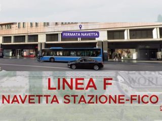 Nelle immagini alcuni frame dal servizio