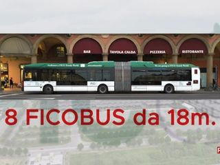 Nelle immagini alcuni frame dal servizio