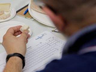 (Foto AgenForm-Consorzio)