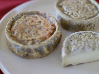 (Foto AgenForm-Consorzio)