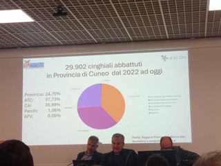Oggi in Provincia il punto sull'epidemia