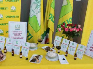 Pericoli sulle tavole