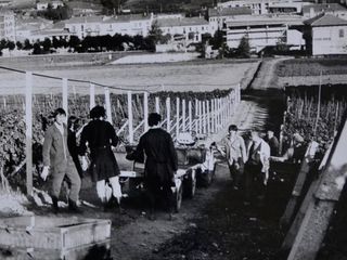 Renato Ratti, qui giovanissimo allievo dell'istituto albese