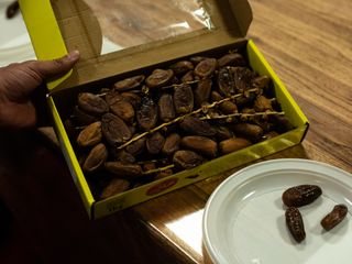 Servizio fotografico di Barbara Guazzone