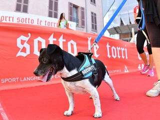 Foto Vincenzo Nicolello