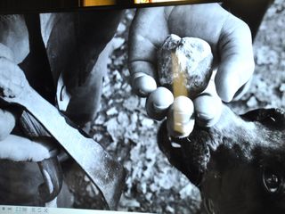 L'incontro tenuto in mattinata nella sala Teodoro Bubbio del municipio
