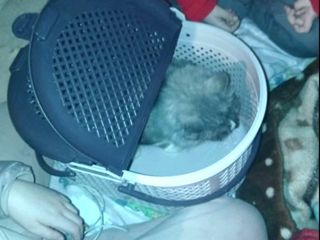 Nel rifugio anti-aereo Nel rifugio anti-aereo