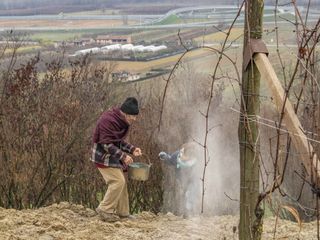 (Foto di Letizia Carrara)