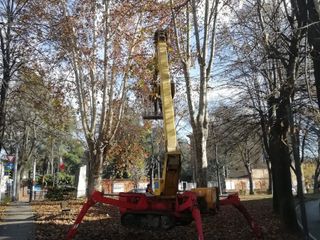 Manutenzione in via Brizio.