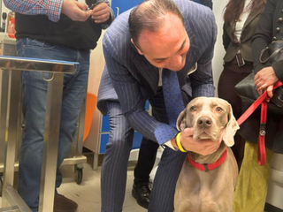 Stamane ad Alba la presentazione dell’Ambulatorio Veterinario Sociale: il diritto di avere un animale è per tutti Stamane ad Alba la presentazione dell’Ambulatorio Veterinario Sociale: il diritto di avere un animale è per tutti