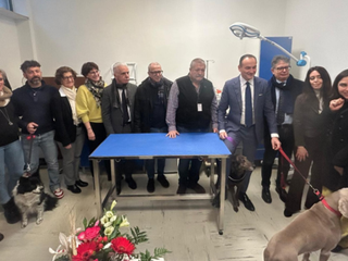 Stamane ad Alba la presentazione dell’Ambulatorio Veterinario Sociale: il diritto di avere un animale è per tutti Stamane ad Alba la presentazione dell’Ambulatorio Veterinario Sociale: il diritto di avere un animale è per tutti