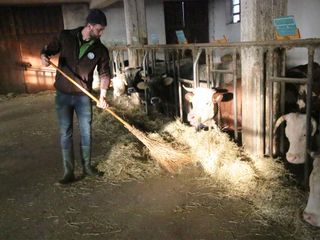 Al ritorno dal lavoro nella stalla