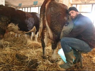 La strada sterrata che conduce a cascina Campasotto nel Comune di Costigliole Saluzzo