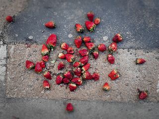 Primo classificato "Cronaca rossa"