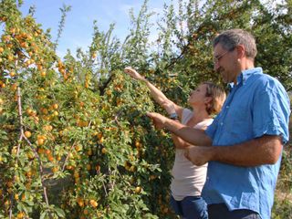 Con una bottiglia di aceto pronta per essere venduta