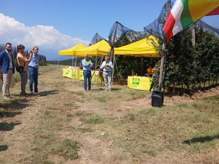 Saluzzo, l'evento "Cogli la prima mela " di Coldiretti Cuneo