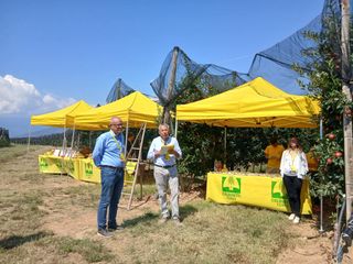 Saluzzo, l'evento "Cogli la prima mela " di Coldiretti Cuneo