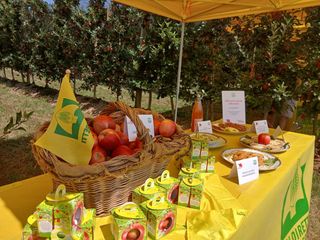 Saluzzo, l'evento "Cogli la prima mela " di Coldiretti Cuneo