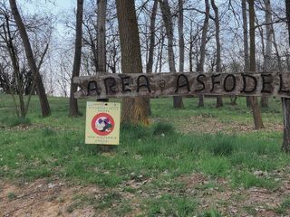 Area Asfodelo Area Asfodelo