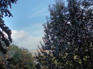 (foto graziella costa squadra aib valle bronda)