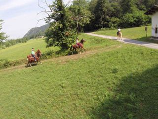 Un'altra passeggiata a cavallo