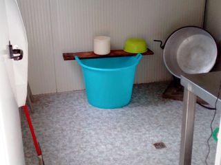 Il vitellino succhia il latte dal biberon