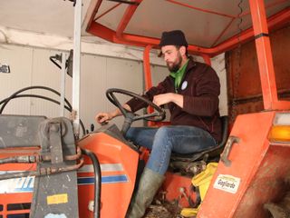 Francesco allatta un vitellino