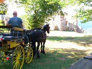 La carrozza trainata dai cavalli è pronta per partire