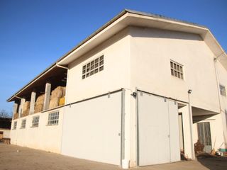 Francesco prepara il biberon per allattare i vitellini