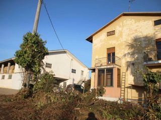 Un altro momento della mungitura