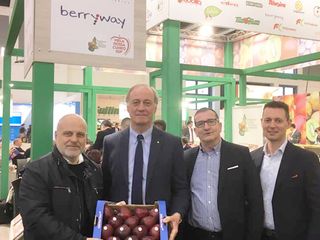 Marello, Sacchetto, Paschetta e Lasagna presentano la Mela Rossa Cuneo Igp